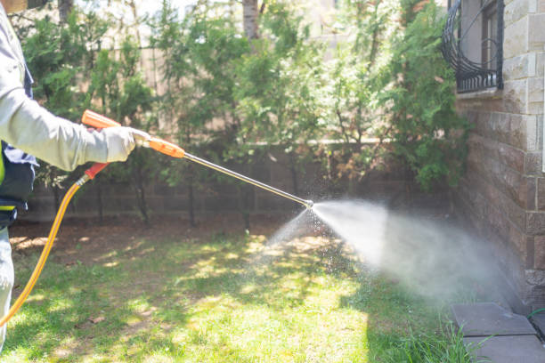 Professional Pest Control in Groveport, OH